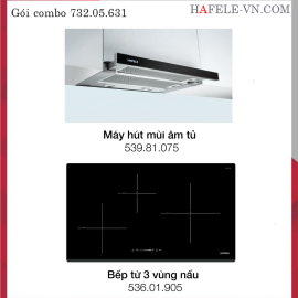 Bộ Combo Sản Phẩm Bếp Từ Và Hút Mùi Hafele 732.05.631